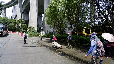 _DSF0208.JPG