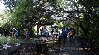 _DSF0209.JPG