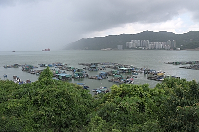 RSZ_0098.jpg