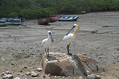 RSZ_0167.jpg