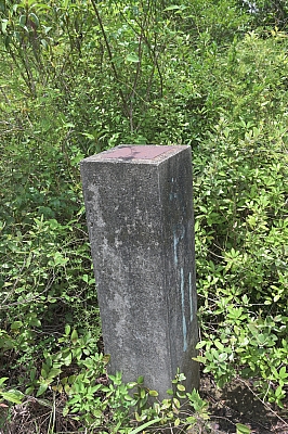 RSZ_0196.jpg