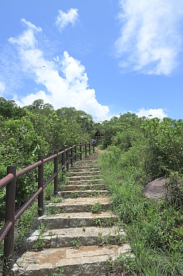 RSZ_0204.jpg