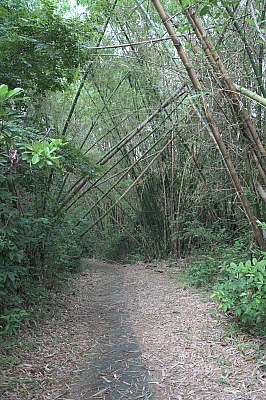RSZ_0218.jpg