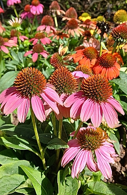 20250622_093032~2.jpg
