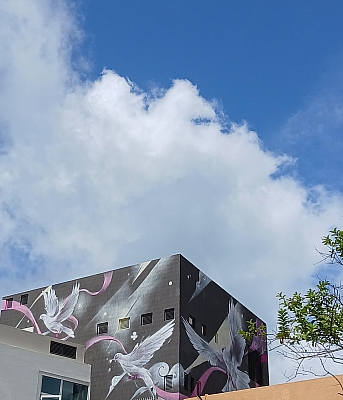 20250622_103418~2.jpg