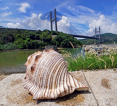 20250622_104106~2.jpg