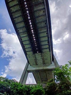 20250622_113952~2.jpg