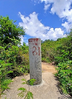 20250622_124803~2.jpg
