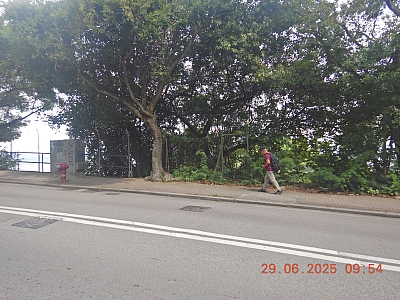 DSCN5381.JPG