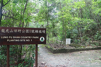 IMG_6655.JPG