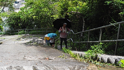 P6290064.JPG