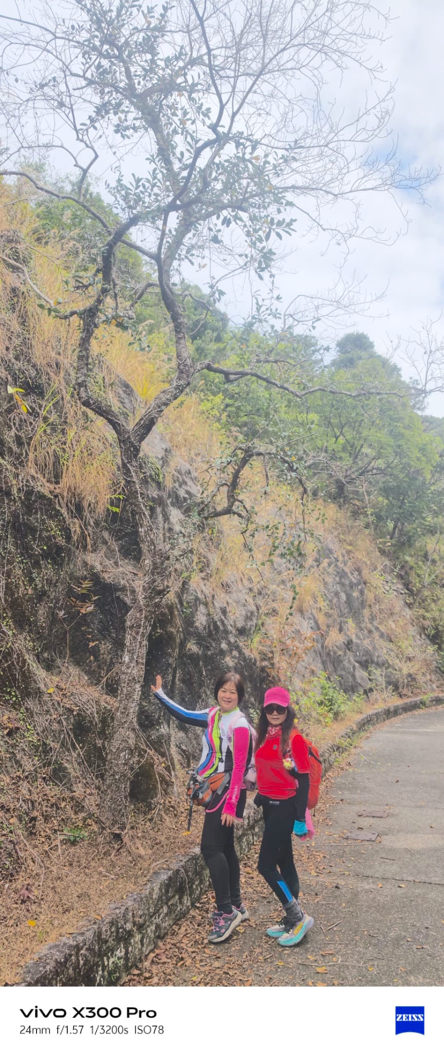 WhatsApp Image 2026-02-08 at 16.50.55 (1).jpeg