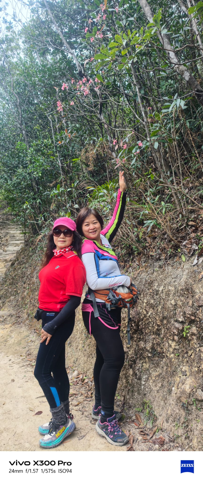 WhatsApp Image 2026-02-08 at 16.51.03.jpeg