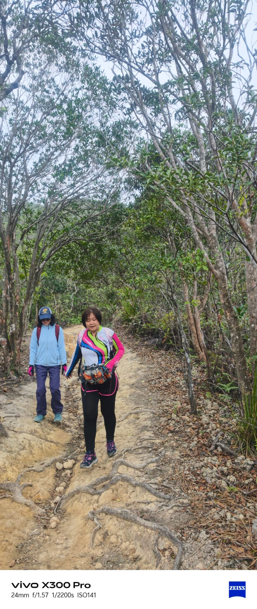 WhatsApp Image 2026-02-08 at 16.51.09.jpeg