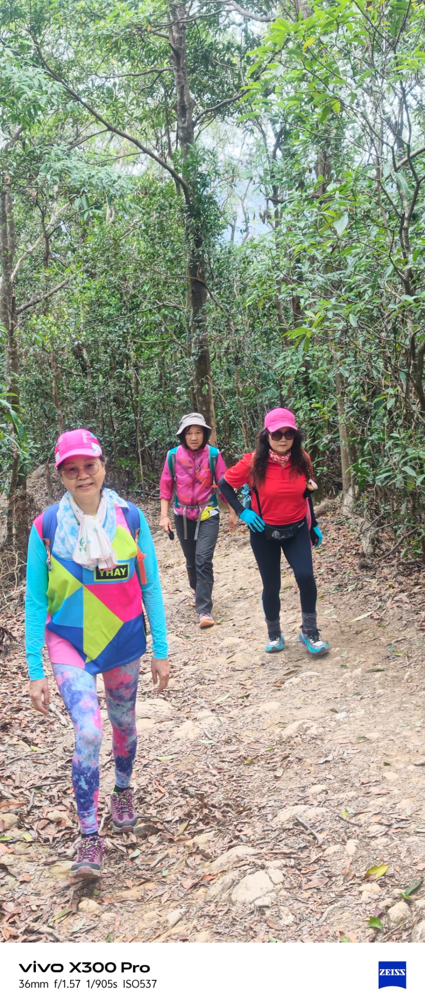 WhatsApp Image 2026-02-08 at 16.52.59.jpeg