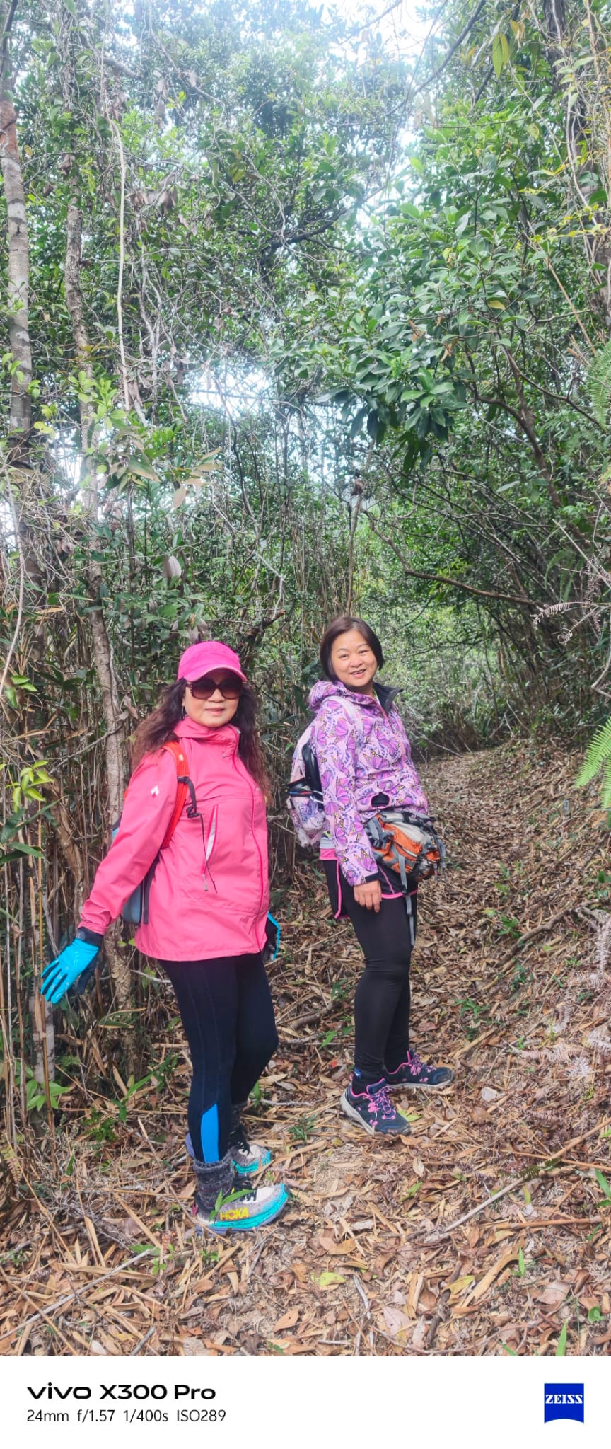 WhatsApp Image 2026-02-08 at 16.53.51 (1).jpeg