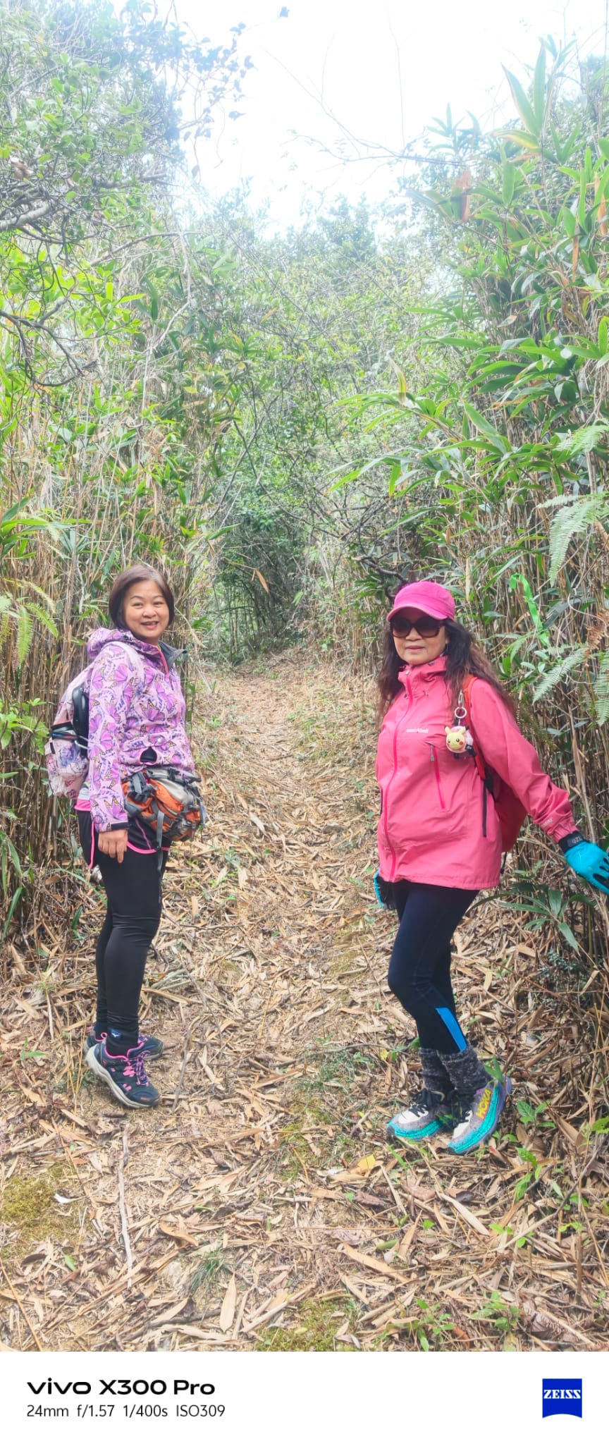 WhatsApp Image 2026-02-08 at 16.53.51 (2).jpeg