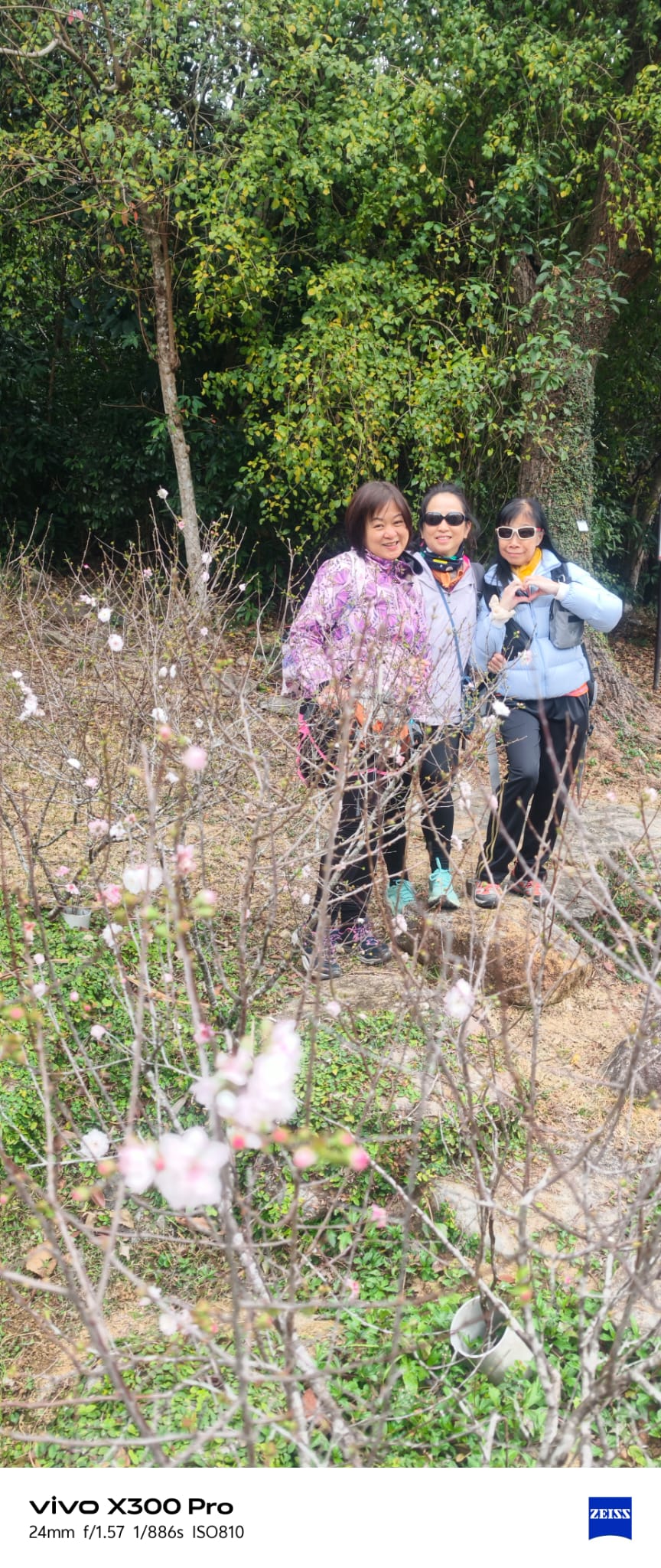 WhatsApp Image 2026-02-08 at 16.54.53 (1).jpeg