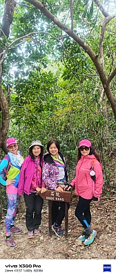 WhatsApp Image 2026-02-08 at 16.51.05 (1).jpeg WhatsApp Image 2026-02-08 at 16.51.05 (1).jpeg