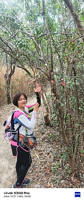 WhatsApp Image 2026-02-08 at 16.51.15 (1).jpeg WhatsApp Image 2026-02-08 at 16.51.15 (1).jpeg