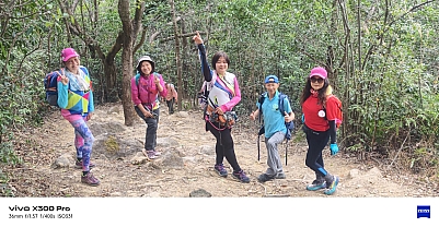 WhatsApp Image 2026-02-08 at 16.53.27 (1).jpeg WhatsApp Image 2026-02-08 at 16.53.27 (1).jpeg