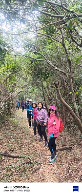 WhatsApp Image 2026-02-08 at 16.53.52 (2).jpeg WhatsApp Image 2026-02-08 at 16.53.52 (2).jpeg