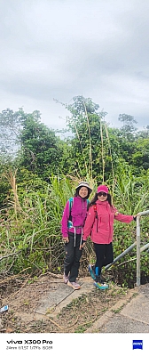 WhatsApp Image 2026-02-08 at 16.54.07.jpeg WhatsApp Image 2026-02-08 at 16.54.07.jpeg