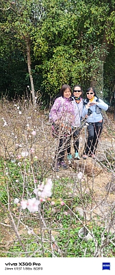 WhatsApp Image 2026-02-08 at 16.54.53 (1).jpeg WhatsApp Image 2026-02-08 at 16.54.53 (1).jpeg