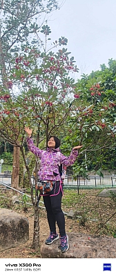 WhatsApp Image 2026-02-08 at 16.55.00 (1).jpeg WhatsApp Image 2026-02-08 at 16.55.00 (1).jpeg