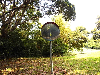 CIMG5307.JPG