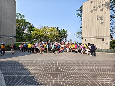 IMG_20260419_093139.jpg