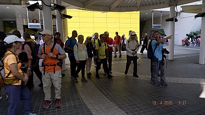 _DSF0090.JPG
