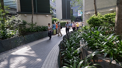 _DSF0128.JPG