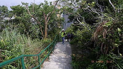 _DSF0145.JPG