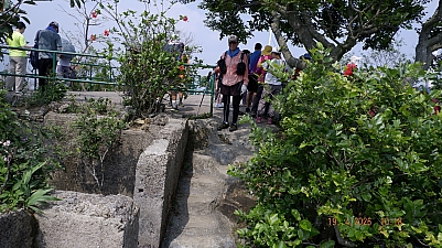 _DSF0147.JPG