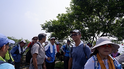 _DSF0154.JPG