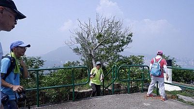 _DSF0160.JPG