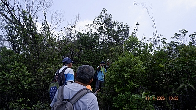 _DSF0177.JPG