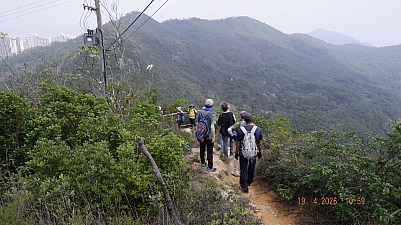 _DSF0178.JPG