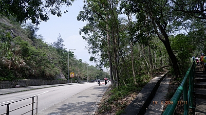 _DSF0182.JPG