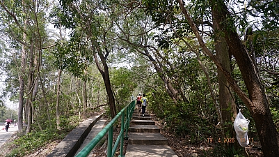 _DSF0183.JPG