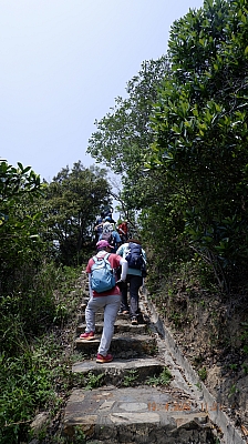 _DSF0191.JPG