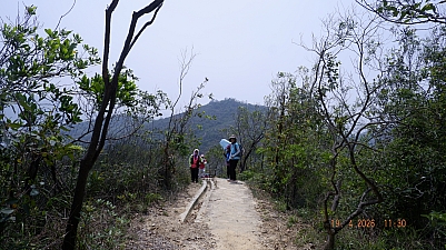 _DSF0193.JPG