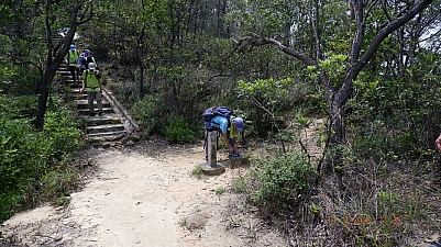 _DSF0194.JPG