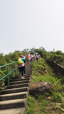 P1010050.JPG