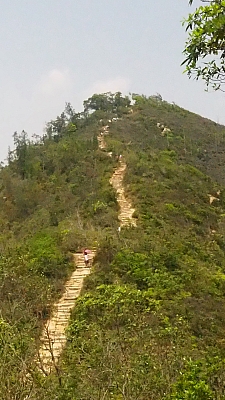 P1010111.JPG