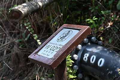 DSC_4571.jpg