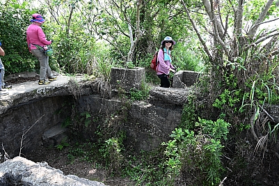 DSC_4591.jpg