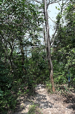 DSC_4623.jpg