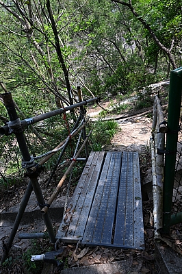 DSC_4625.jpg